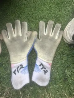 Puma Future キーパーグローブ 破格