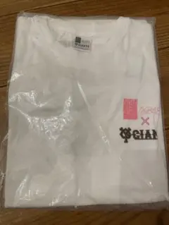ジャイアンツ　AKB Tシャツ