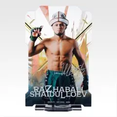 Item thumbnail for item 527ba8c1-bdd3-41e4-a5dd-4509f5f2e8ae