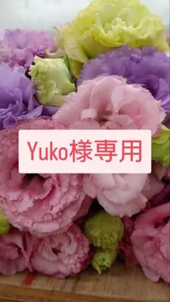 Yuko様専用　トルコギキョウ　リシアンサス　切り花
