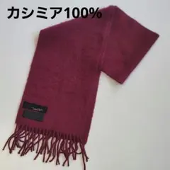 Item thumbnail for item 730e3fe3-f98b-435f-8516-0b6f5c200db3