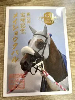 2026年最新】宝塚記念 御駿印の人気アイテム - メルカリ