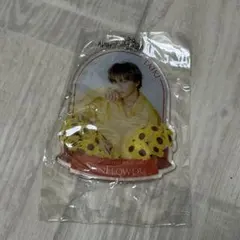FANTASTICS SUNFLOWER 缶バッジ アクリルチャーム 佐藤大樹 - メルカリ