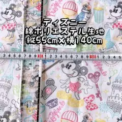 ディズニー綿ポリエステル生地50cm×140cm NO.13-2