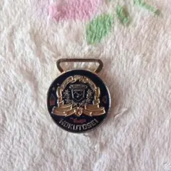 2025年最新】北斗星 ピンバッジの人気アイテム - メルカリ