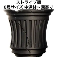 植木鉢 3Dプリンター鉢 8号サイズ 浅鉢 塊根植物 多肉植物 アガベ 象牙