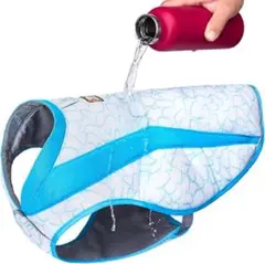 Item thumbnail for item 0ab2216e-c7c5-4e1a-90f1-e3dfdb2806de