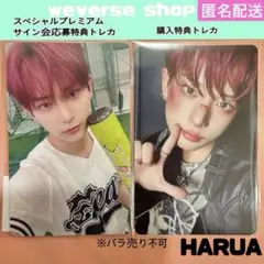 【新品】 &TEAM Back to Life weverse トレカ ハルア