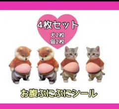 スクイーズ　 お腹シール おなかぷにぷにシール ぷにぷに 柴犬　猫 シール