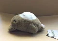 となりのトトロ　ふんわりお手玉大トトロ　いねむりのサムネイル