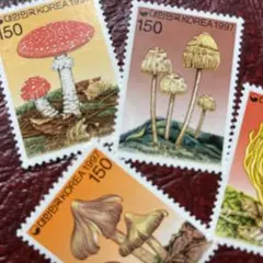 クルル様 リクエスト 2点 まとめ商品