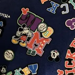 ディズニー　ミッキー　オックス　ワッペン柄