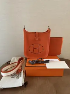 【HERMES】エブリンtpm アマゾーヌフー シルバー金具 トリヨンX刻印のサムネイル