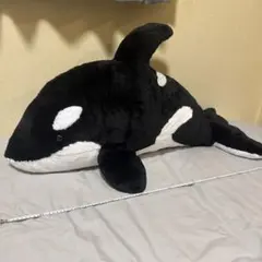 名古屋港水族館 飼育員監修シャチ リンのリアルぬいぐるみ - メルカリ