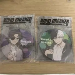 WINDBREAKER 缶ミラー