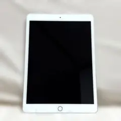 iPad 第7世代 128GB WiFiモデル シルバー 美品