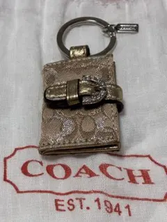 Item thumbnail for item 6d0dcda0-ca54-4a72-9c5b-e612a143c5df