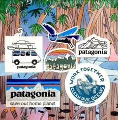 ㉘正規品　新品未使用　廃番入り　パタゴニア　ステッカー　6種類