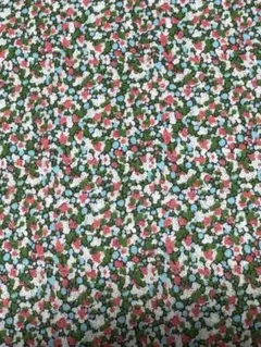 リバティ コットン 綿生地 No.3639010ZZE