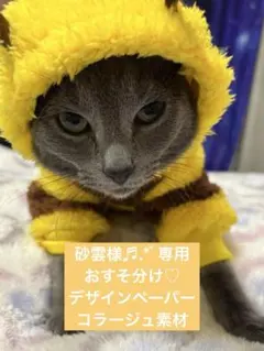 砂雲様•*¨*•.¸♬︎専用♡おすそ分け♡コラージュ素材 デザインペーパー他