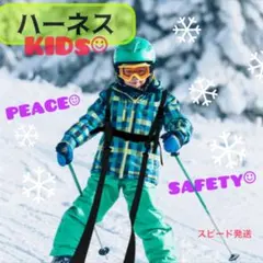 Item thumbnail for item 56628193-befc-4949-a508-ce9c999c5558