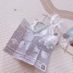 【ポチャッコ】サンリオ　カラフルカラビナマスコットチャーム　ガチャ