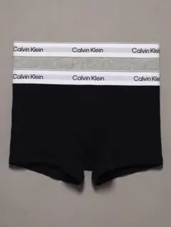 Calvin Klein ボクサーパンツ 2枚セット