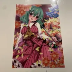 【東方Project】A4クリアファイル 風見幽香(七瀬尚) /すなめりドリル