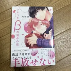 うそつきBの運命の恋