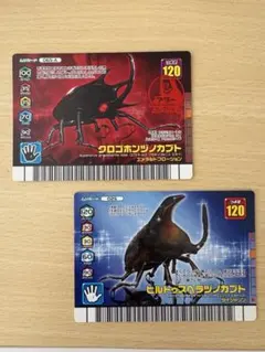 2026年最新】ヒルトゥスヘラヅノカブトの人気アイテム - メルカリ