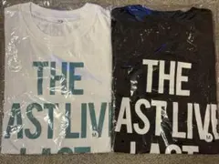 Item thumbnail for item d05c3069-6cba-4df9-845d-c1ef75020b38