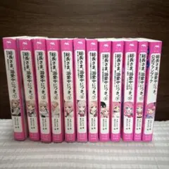 総長さま、溺愛中につき。1〜11巻＋おまけ2冊 総長さま、溺愛中につき。1〜11巻＋おまけ2冊