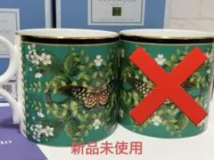 WEDGWOOD ワンダーラスト　エメラルドフォレスト　マグ　1点　緑寿お祝い