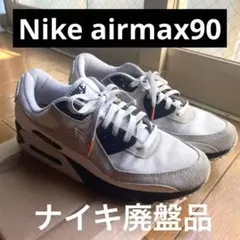 エアマックス90 WHITEPUREPLATINUM DM0029-100 29