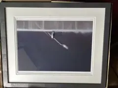 2025年最新】牧野千穂 版画の人気アイテム - メルカリ