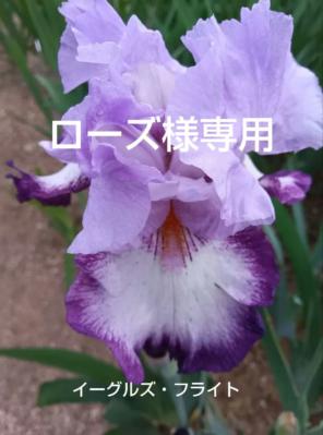 ロ-ズ様 リクエスト 2点 まとめ商品