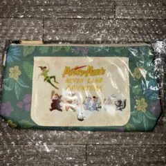 ディズニーシー ピーターパン スーベニアおてふきキャリー