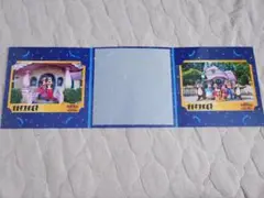 ディズニー ワンマンズドリーム フォトファン 台紙付き