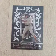 FERNANDO TATIS JR. CREST C-8