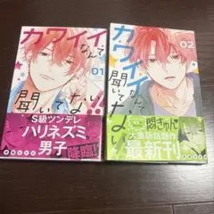 カワイイなんて聞いてない！2巻セット