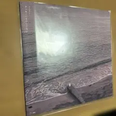 踊ってばかりの国/ On the shore LP アナログ - メルカリ