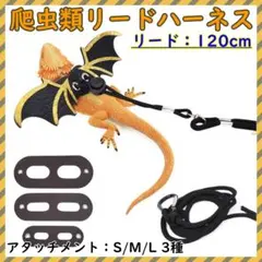 カメレオンリーダー[新品未開封] カメレオンリーダーがついに我が家に！セット詳細 | あいねの