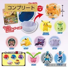 ポケモンゲットコレクションズ　ワクワク！ポケモンとの出会い　コンプリート