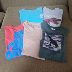 恐竜デザインTシャツセット　Gap