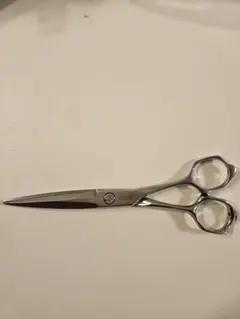 2025年最新】ミズタニシザー ステライトの人気アイテム - メルカリ