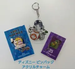 ディズニー ピンバッジ・アクリルチャーム 3点セット