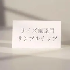 サイズ確認用チップ