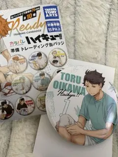 ハイキュー‼︎ 青葉城西 及川徹 缶バッジ