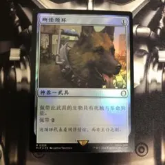 2026年最新】mtg foil 中国語の人気アイテム - メルカリ