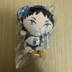【匿名配送】ハイキュー!! フリューくじ F賞 ぬいもっちマスコット 赤葦京治